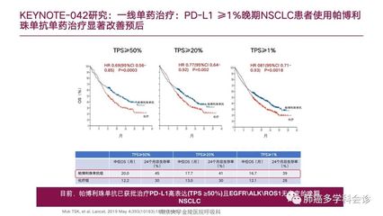 淮安运动公园团建项目介绍