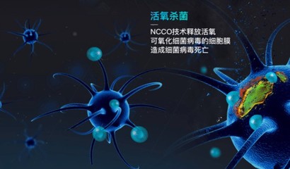 揭阳拓展训练课程