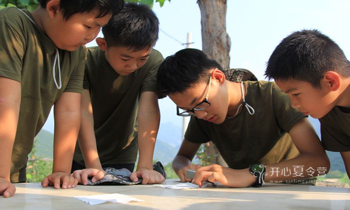 拓展训练营心得体会范文